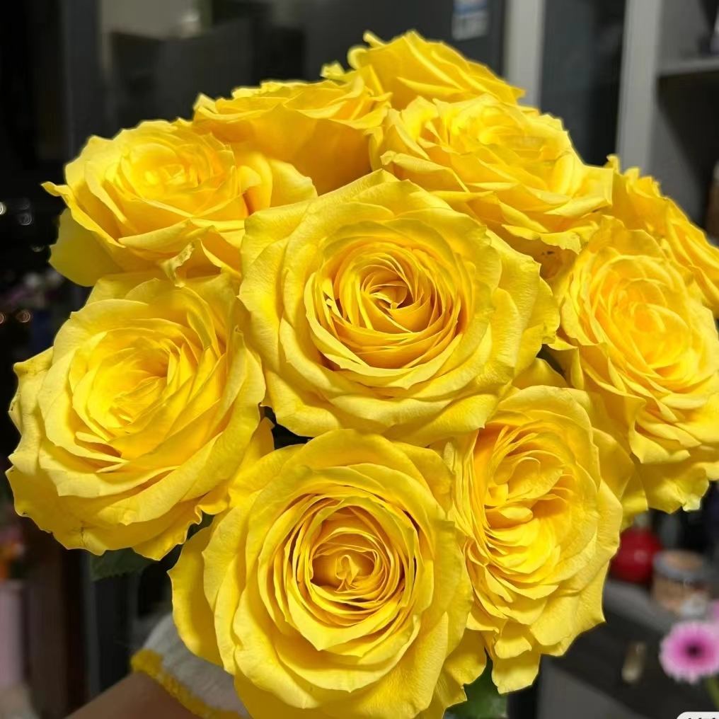 回忆玫瑰18支+2支防损 收到先醒花拍1单发中通2单升级快递