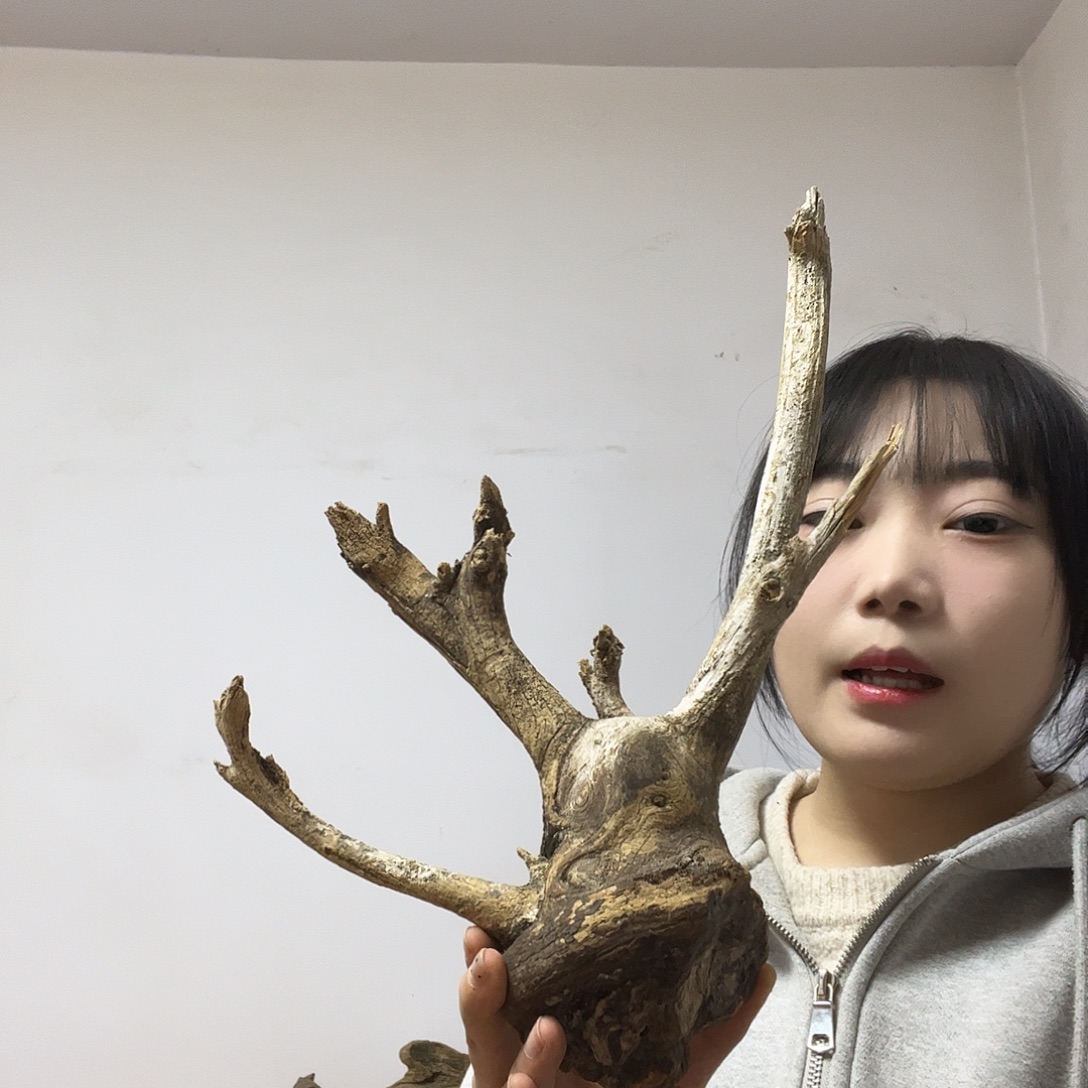 伟***子柏木（崖柏）这个世界上最好的朋友就是