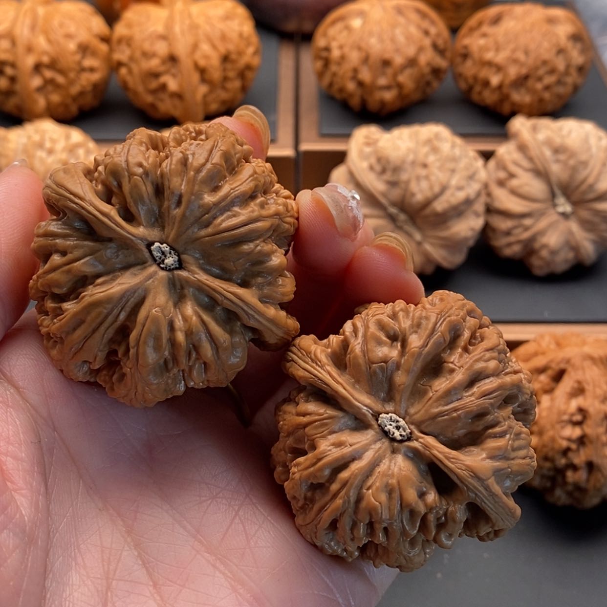 【闪购商品】文玩核桃把件金*粗筋44边差尺，修