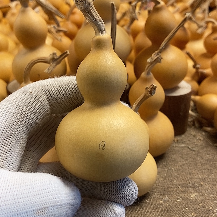 文玩葫芦 完美主义者 慎拍18