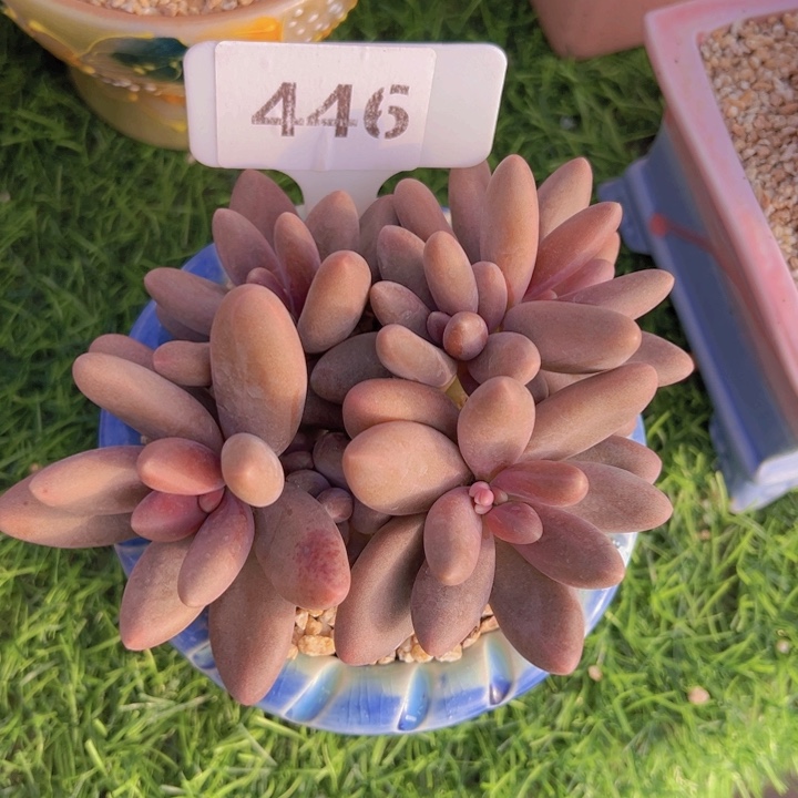 健健康康平平安安