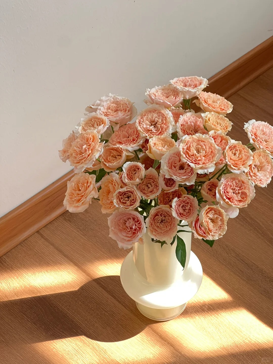 【杏色拉拉队】一单也包邮 多头玫瑰 云南昆明斗南基地直发