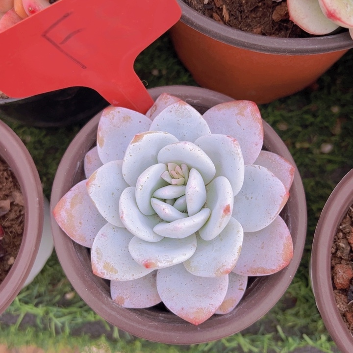 健健康康平平安安