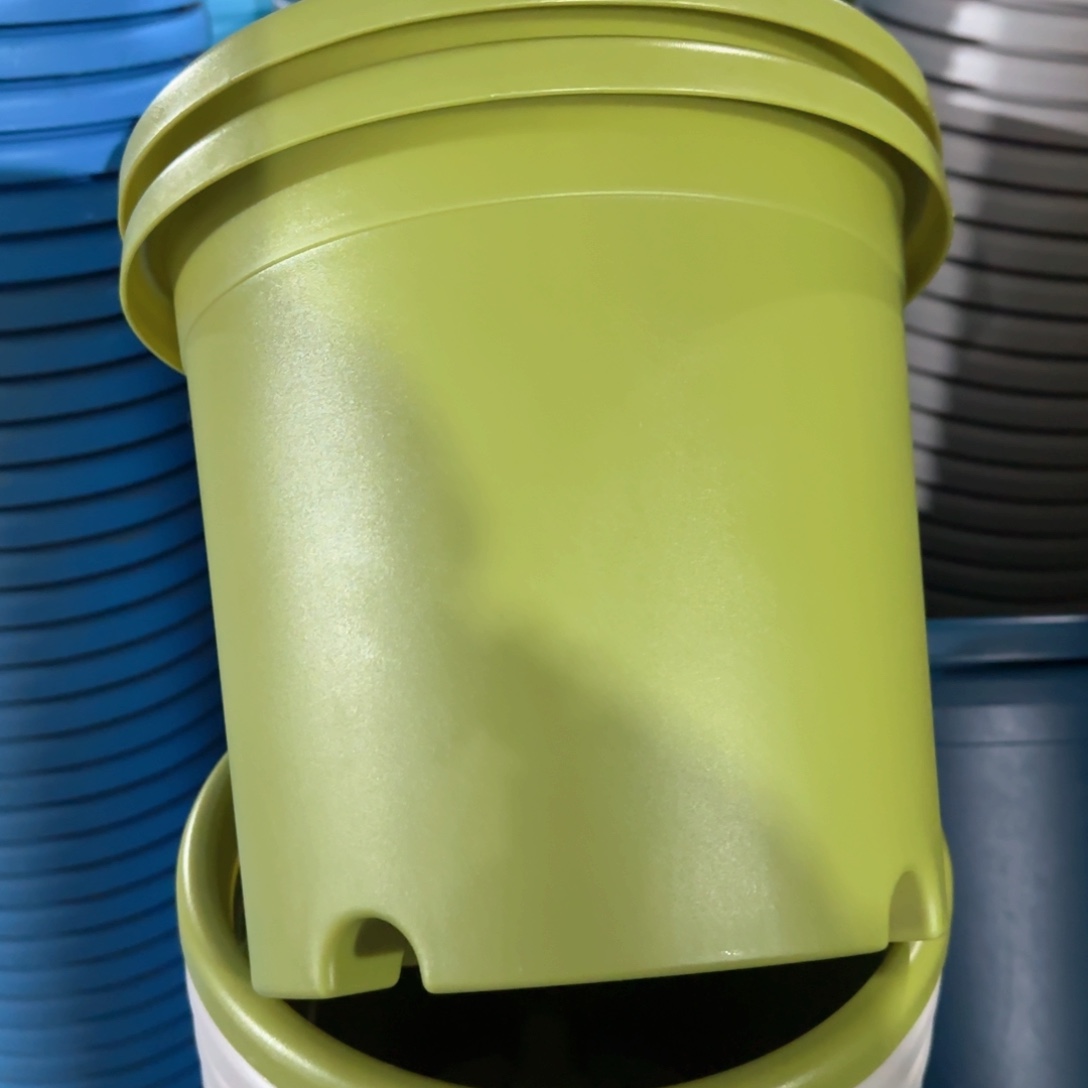 树脂特价4#无拖果绿8个