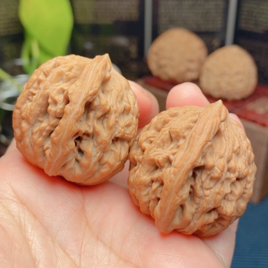 文玩核桃吊坠快*哥40全品虎头