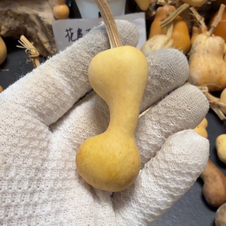 普***r66666666666667778888