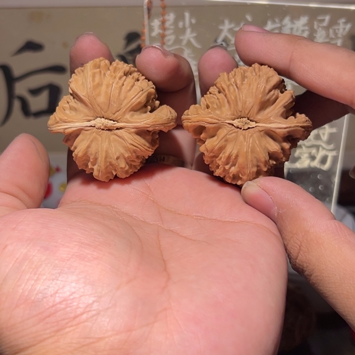 齾***歞把件文玩核桃44白狮子黄尖