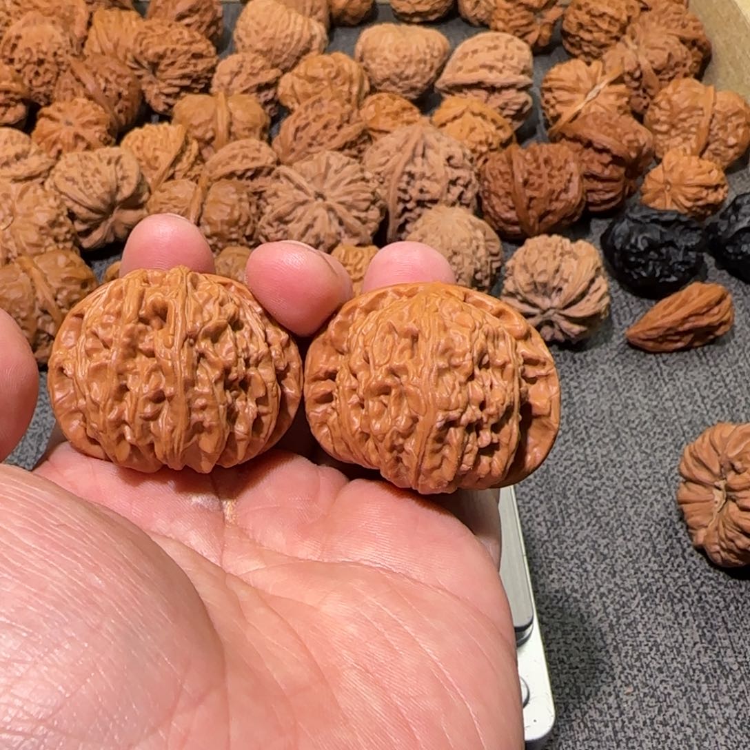 文玩核桃把件43白狮子