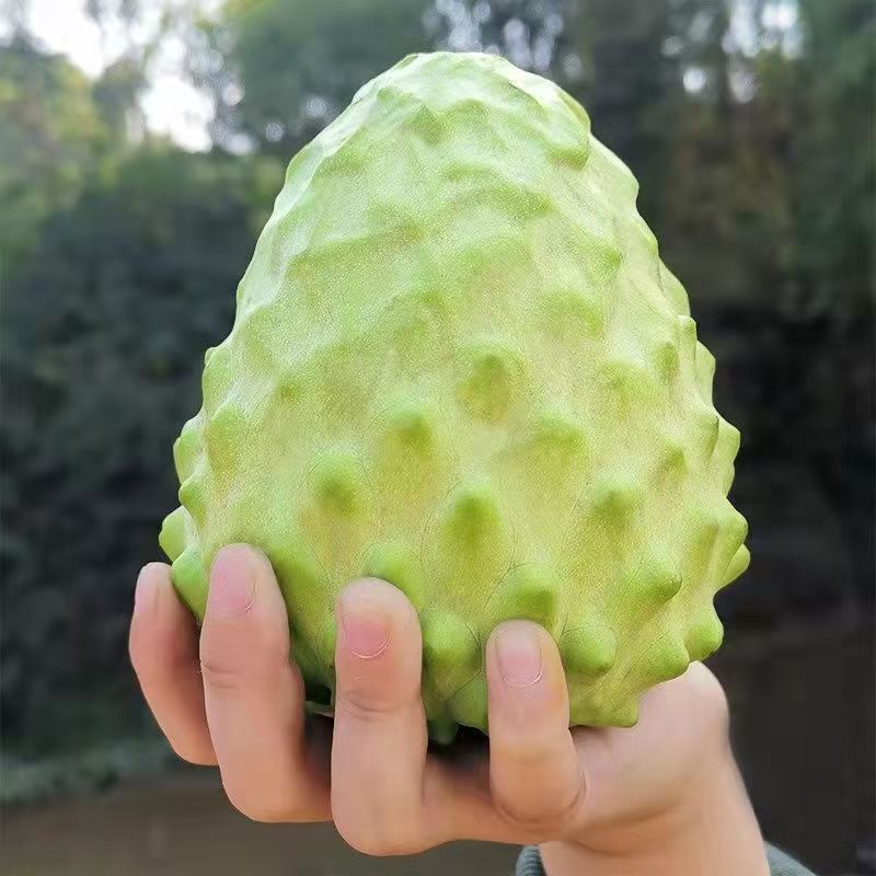 现摘新鲜凤梨释迦果牛奶番荔枝佛头摩尼果当季水果整箱林檎