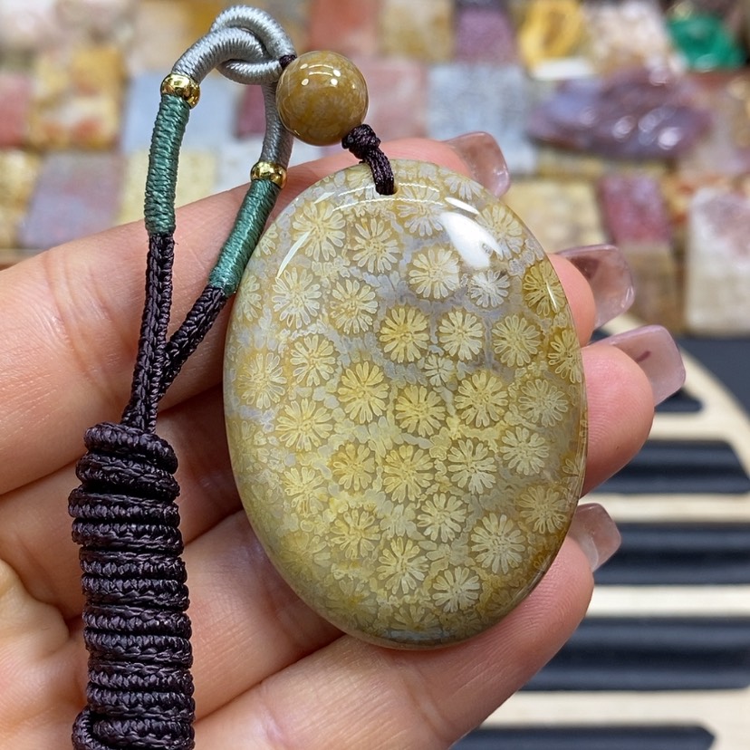 【闪购商品】硅化珊瑚（珊瑚玉）颈饰未镶嵌K9