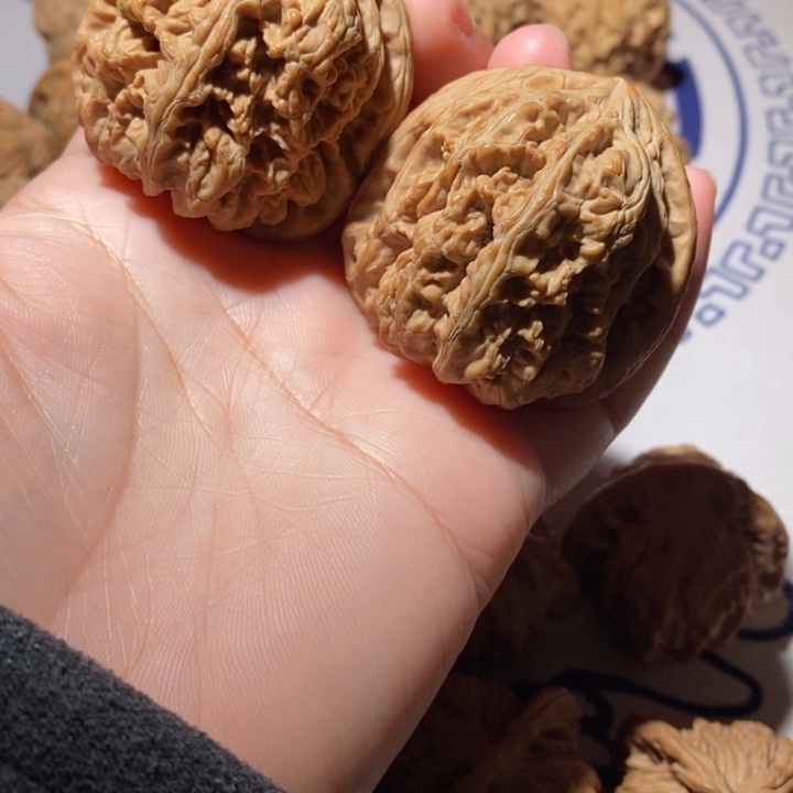 把件文玩核桃大粗筋
