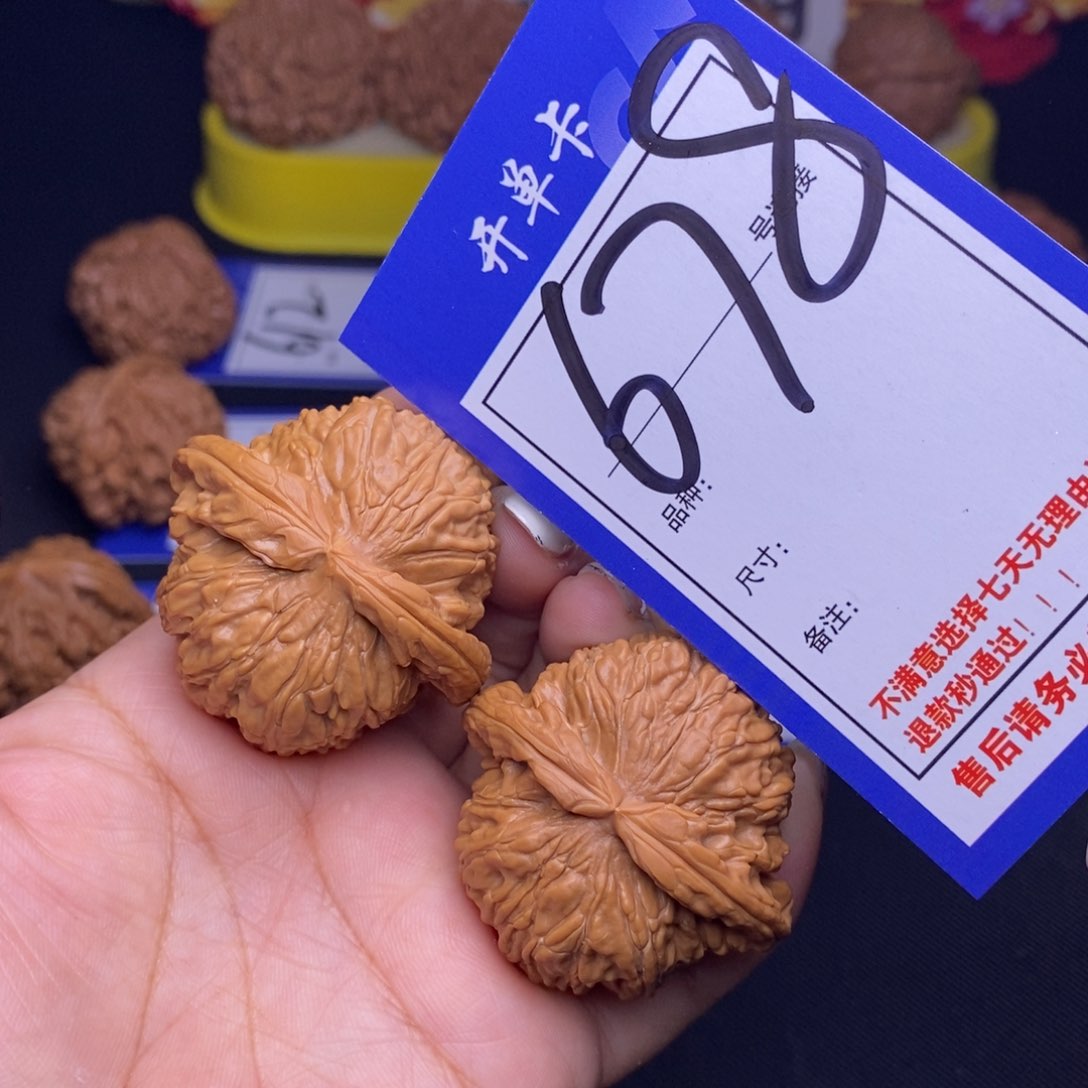 678号链接白狮子4.3尺000000