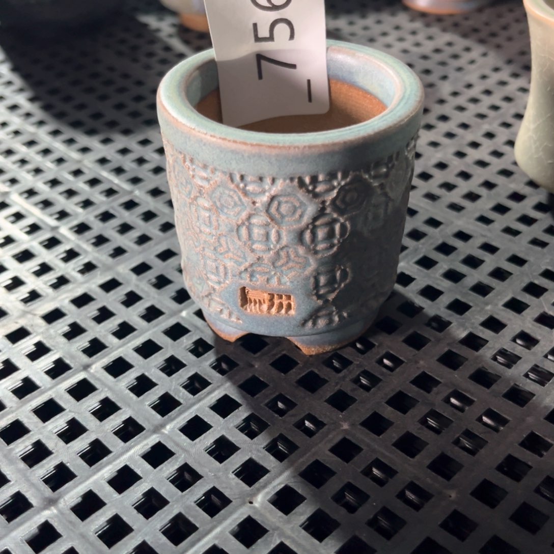 红陶✨****女756花盆1个