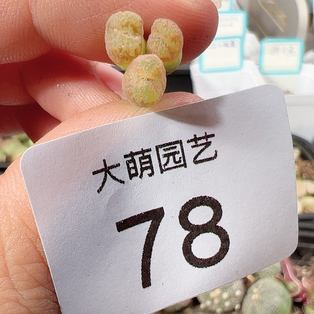 000078 一物一拍……