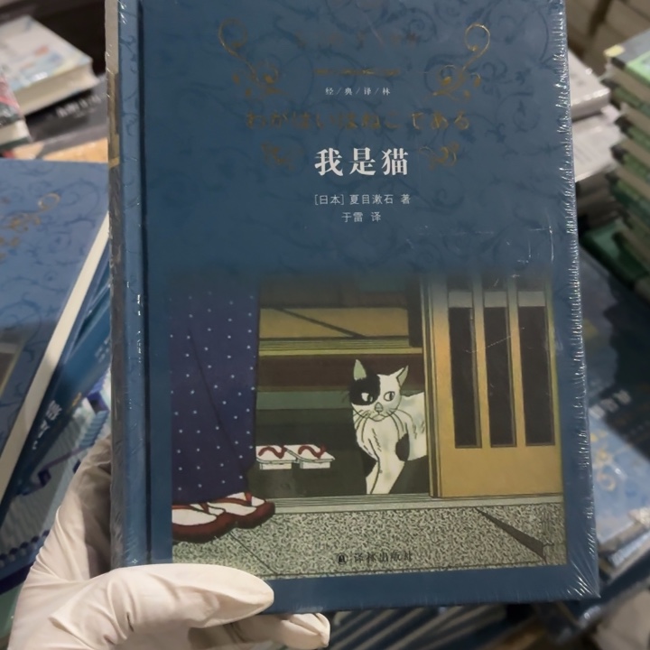 我是猫 闪购闪购闪购10