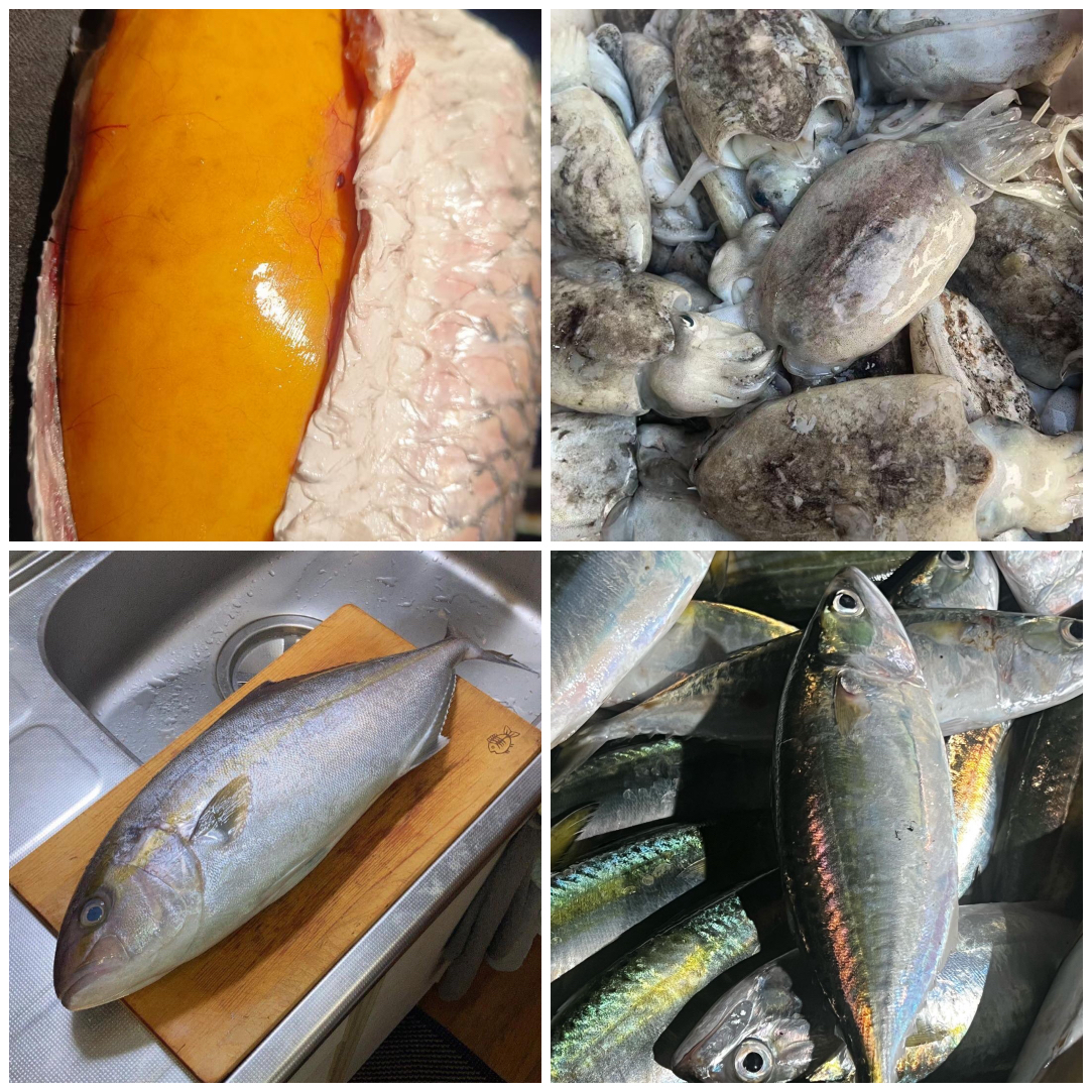 豪华海鲜拼盘，有海钓章红鱼，带籽带膏的乌头鱼，灯光白面，墨鱼带籽