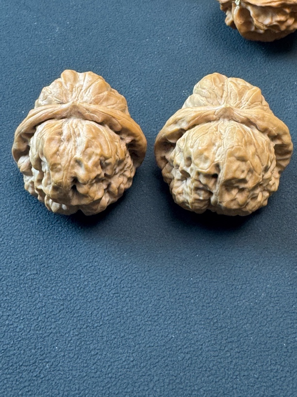 正宗延庆金蟾蛤蟆头老树天然文玩核桃全品无修手捻