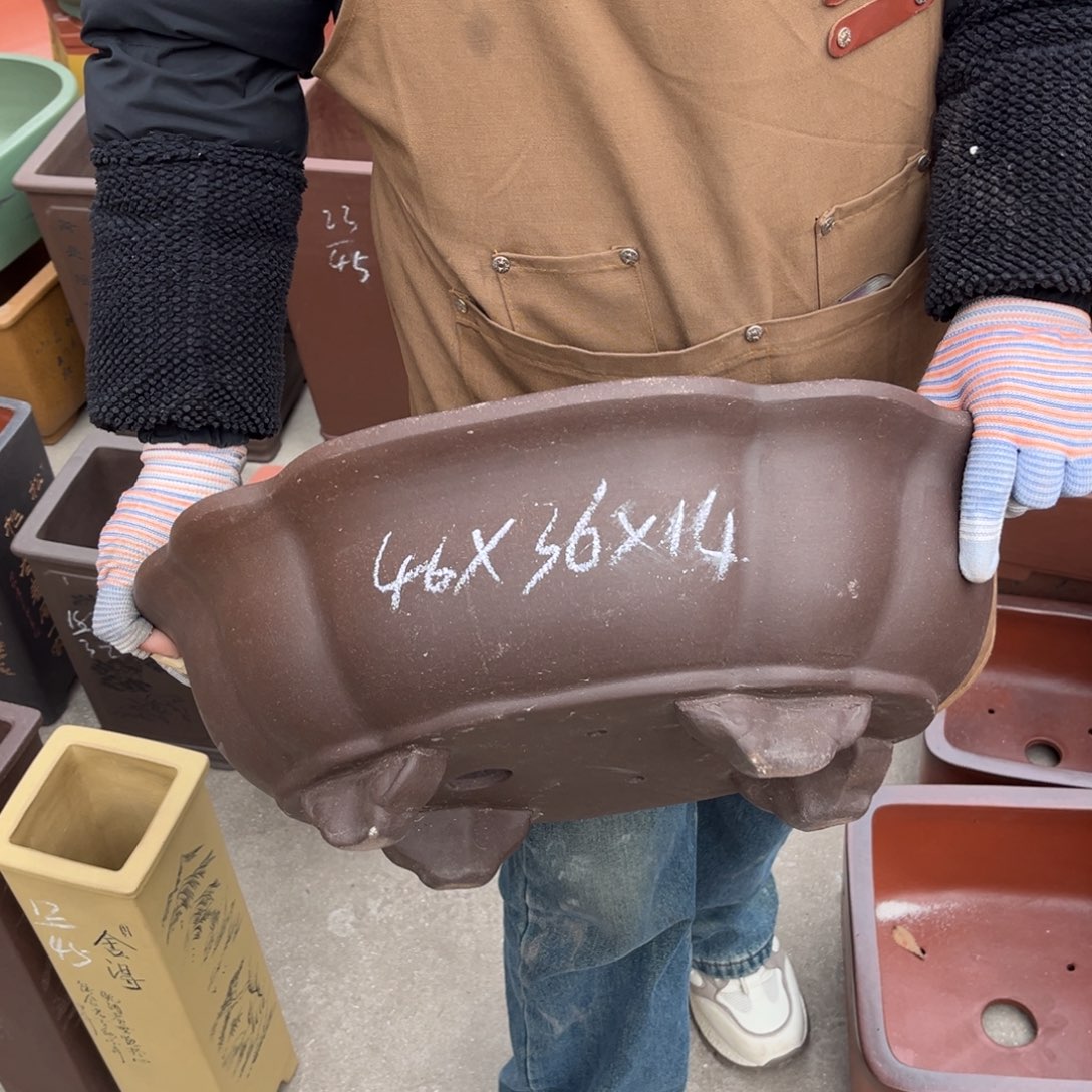 紫砂花盆盆景艺术