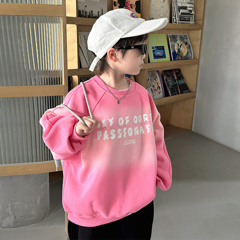 儿童卫衣男童春秋装韩版圆领衣服2025新款WY253027