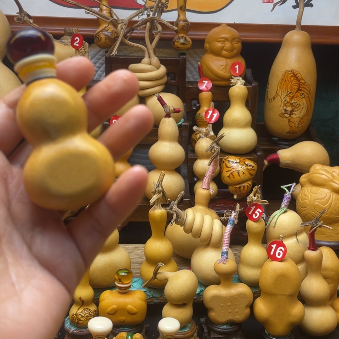 ?***✨葫芦等经济作物和各种植物的生长发育