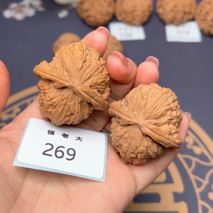 文玩核桃把件41白狮子 269