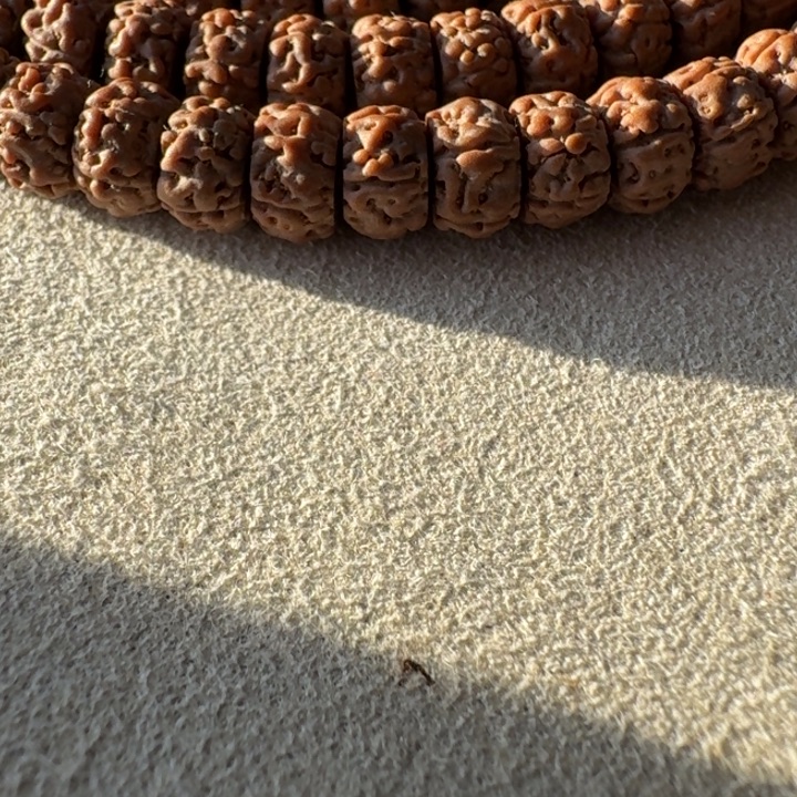 大***明金刚菩提吊坠一代盘龙