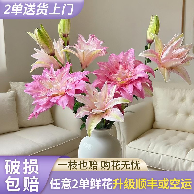 【源头优选】宝莲灯重瓣香水百合花水养插花用云南直发鲜花
