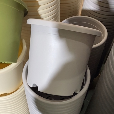 树脂微瑕4号8个无托灰白