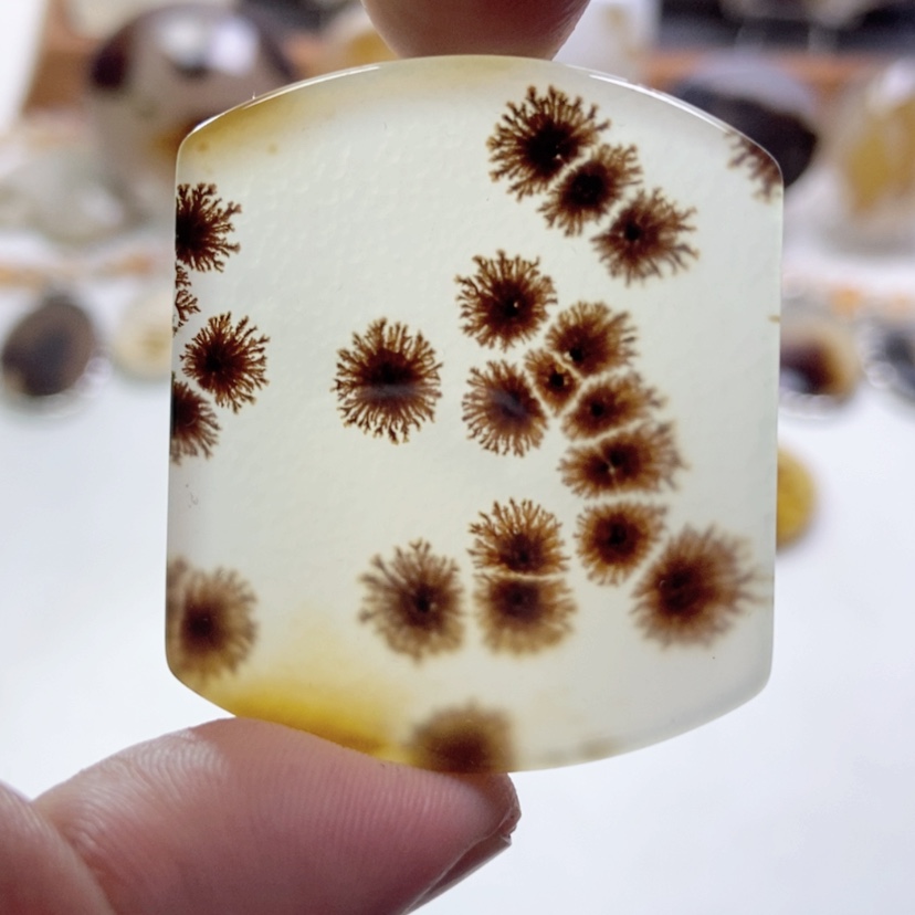 【闪购商品】玛瑙/玉髓颈饰未镶嵌