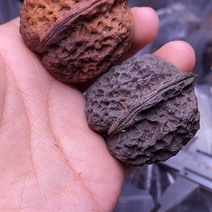 文玩核桃吊坠  181