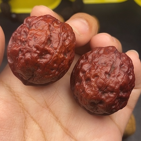 文玩核桃把件40尺至尊疙瘩