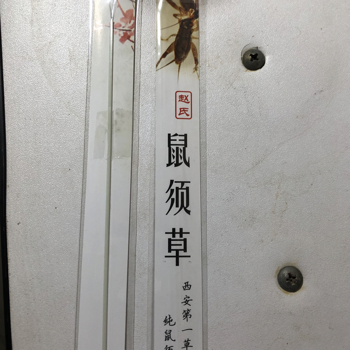 鼠须草，蛐蛐蟋蟀专用，打草