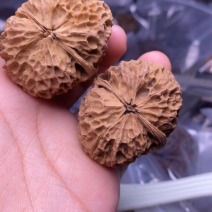 文玩核桃把件   99