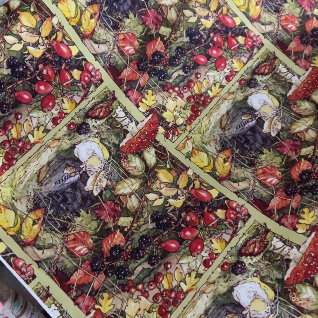 棉一米价纯棉平布1.1米宽果爆款