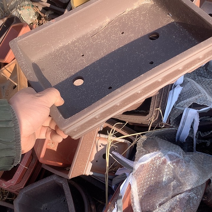 紫砂我想去一条属于