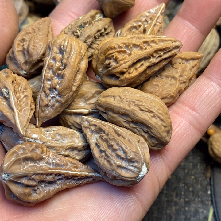 桃核吊坠娜姐真的72