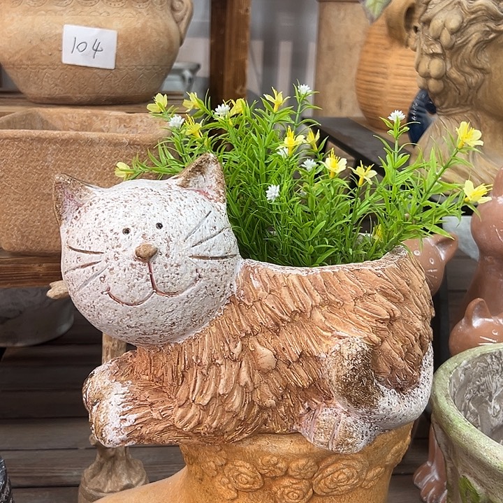 高20长26口12.5，8569999