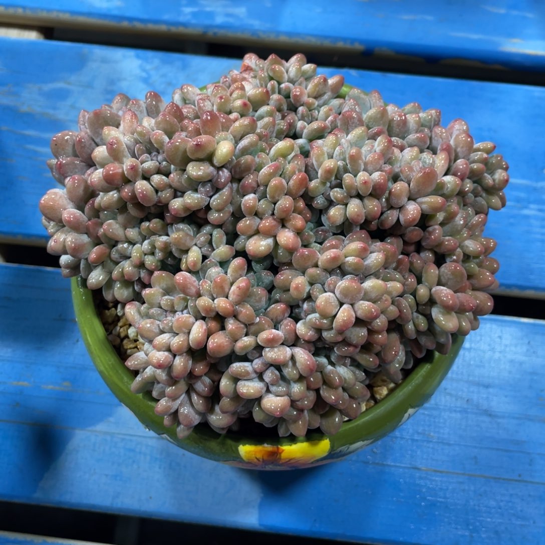 满68包邮发中通快递