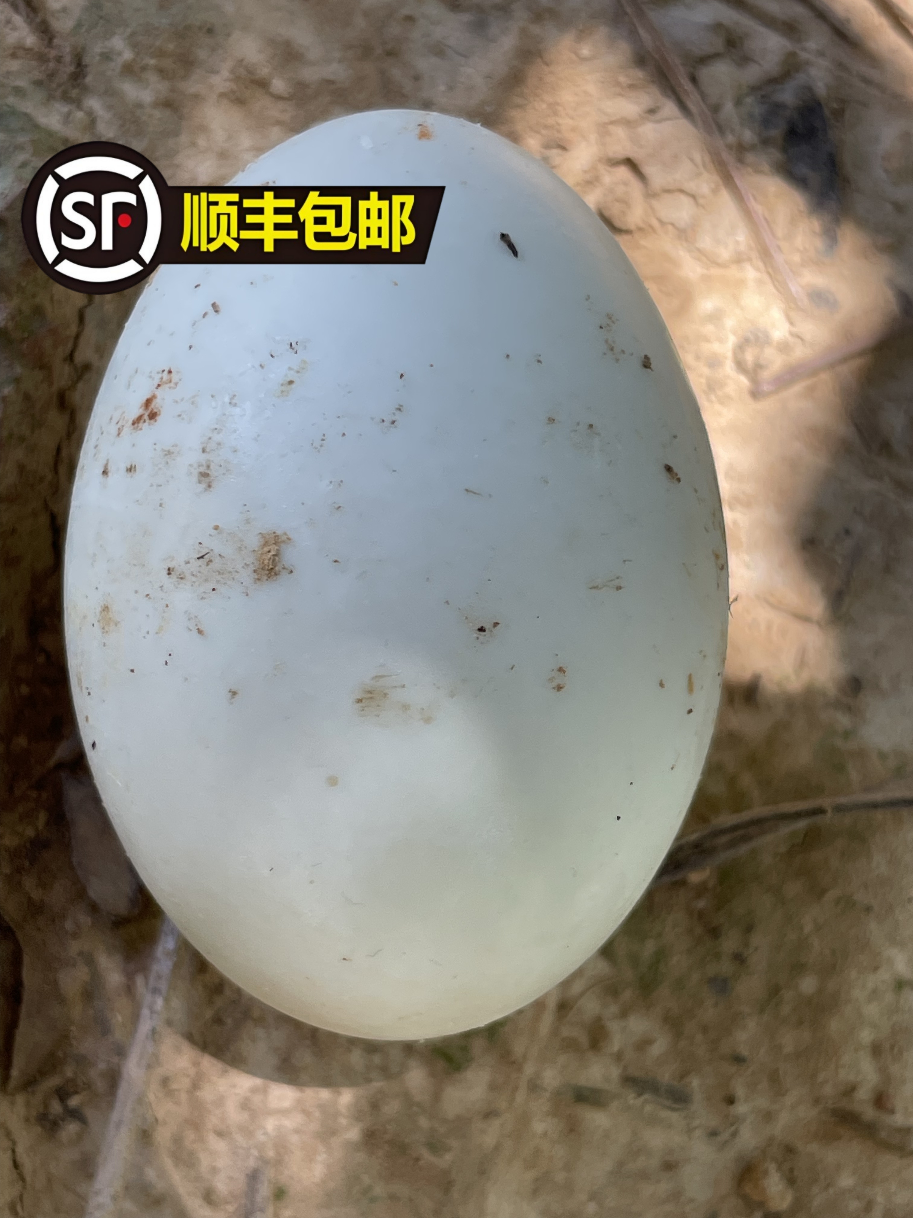 【农户自家土养土鸭蛋】