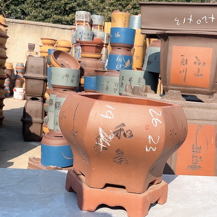 紫砂紫砂花盆盆栽