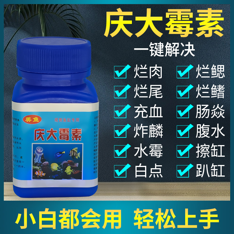 庆大霉素兰寿龙鱼失鳔趴缸翻缸矫正烂尾充血烂鳃白点水霉水族专用