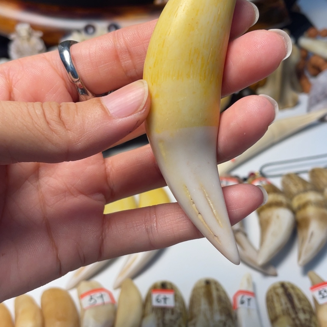 把件驼骨驼骨手把件