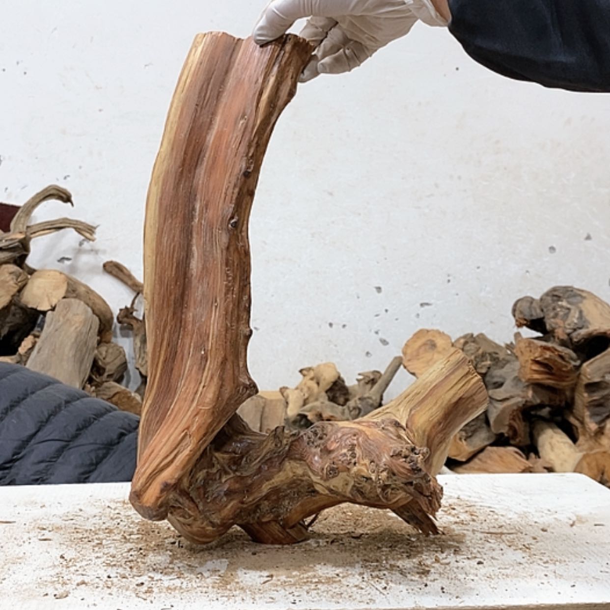 【闪购商品】柏木7*7我们都是好孩子