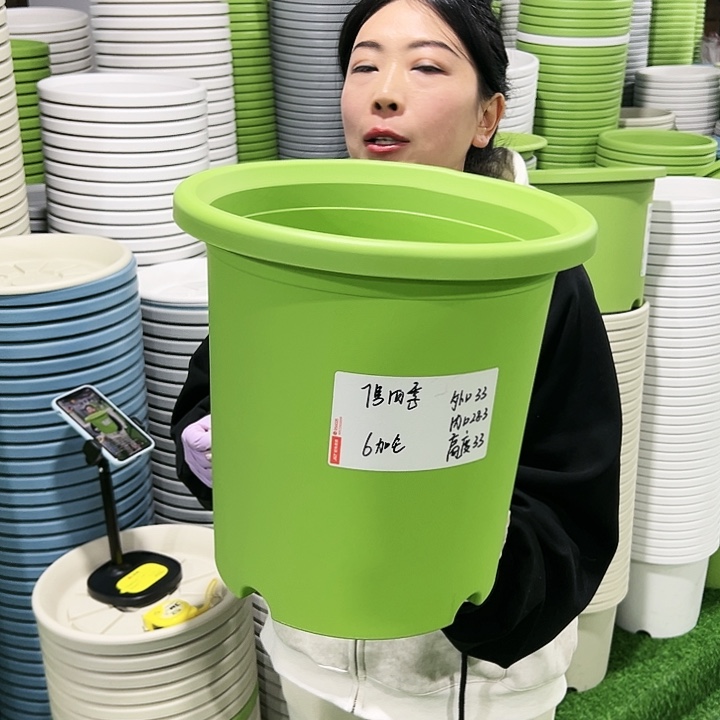 特价7号四季口33高33白色6只无托