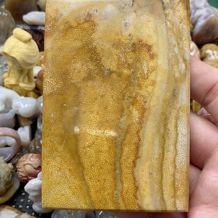 颈饰未镶嵌硅化珊瑚（珊瑚玉）