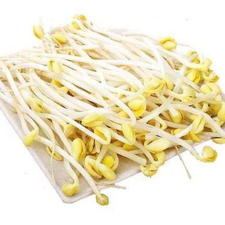 黄豆芽 250g±10g/份
