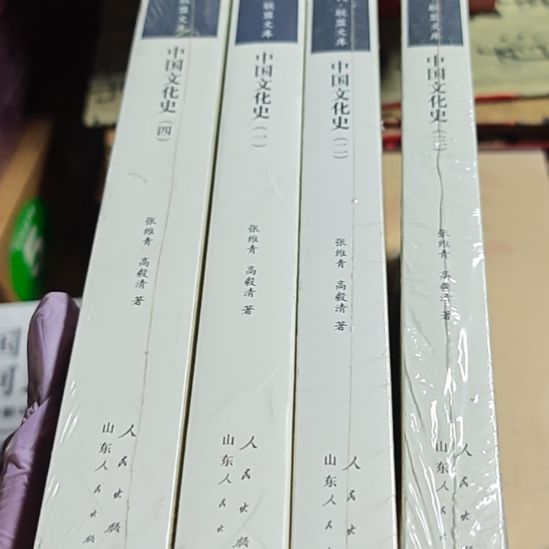 中国文化史四本一套（务必塑封）微瑕