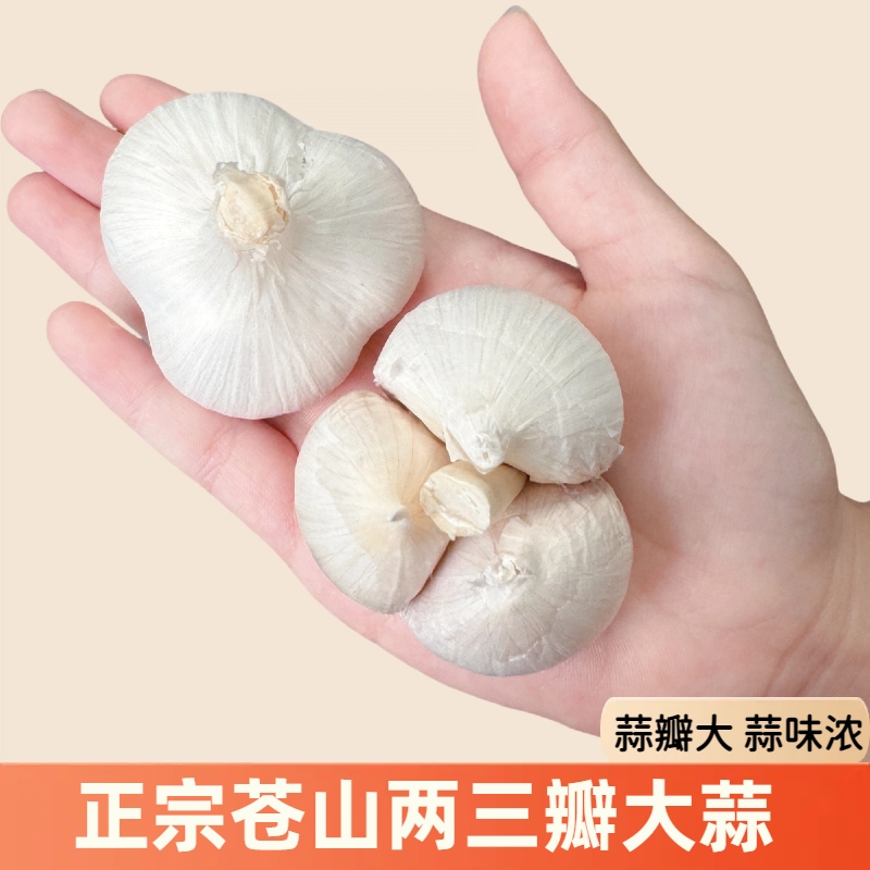 【正宗两三瓣】2025苍山两三瓣山东新干蒜蒜香味浓蒜香浓郁
