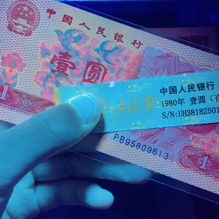 801黄金圣龙一张一张一张