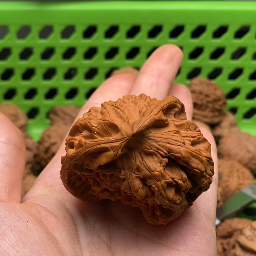 逻***辑核桃定制商品不退不换